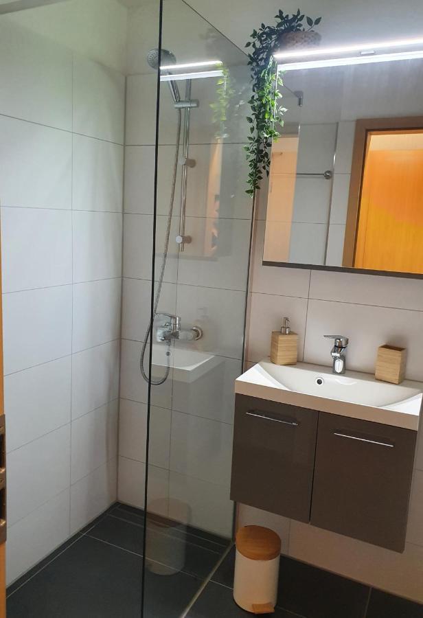 Modernisierte Ferienwohnung Naturseelen Mit Schwimmbad Und Sauna Braunlage Exteriér fotografie