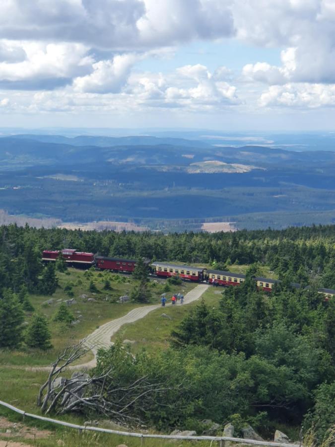Modernisierte Ferienwohnung Naturseelen Mit Schwimmbad Und Sauna Braunlage Exteriér fotografie
