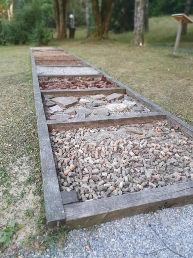 Modernisierte Ferienwohnung Naturseelen Mit Schwimmbad Und Sauna Braunlage Exteriér fotografie