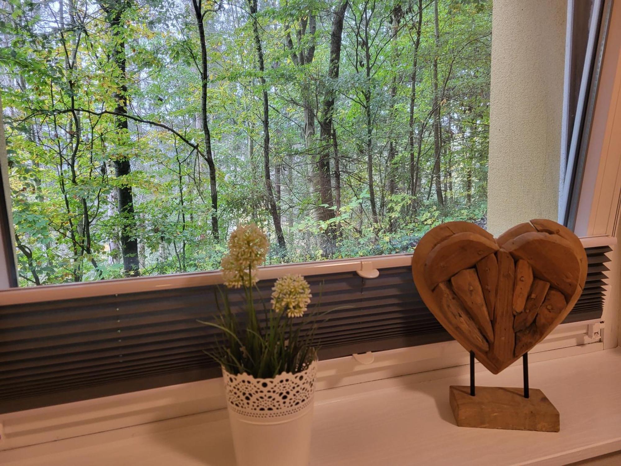 Modernisierte Ferienwohnung Naturseelen Mit Schwimmbad Und Sauna Braunlage Exteriér fotografie